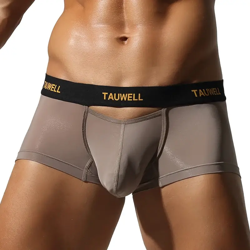 Men's Underwear Comfortable Cool Thin Sexy Semi-Transparent Flat Angle Pants with U-Shaped Pouch Briefs