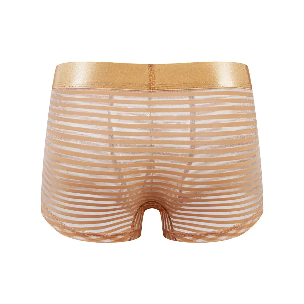 Sexy Men Underwear Boxer Shorts Transparent Mesh Underpants Trunks Men Panties Low Waist Nylon Breathable Quick Drying