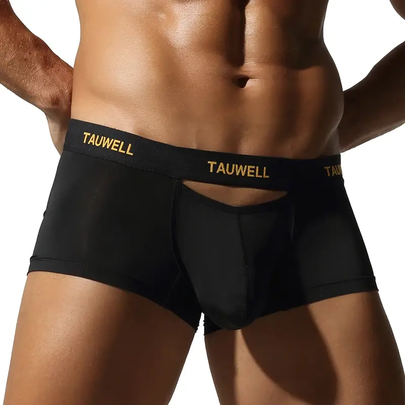 Men's Underwear Comfortable Cool Thin Sexy Semi-Transparent Flat Angle Pants with U-Shaped Pouch Briefs