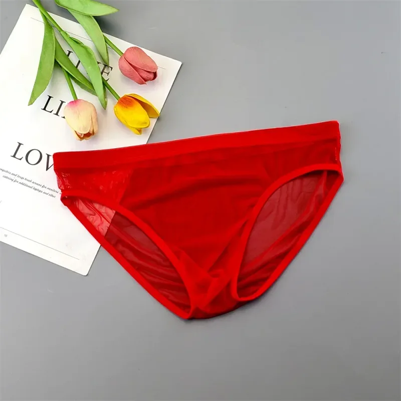 Plus Size Transparent Underwear See Through Sexy Briefs para sa Mga Lalaki na may Pouch Nylon Hombre Slips Breathable Male Panties XL-4XL — image 26
