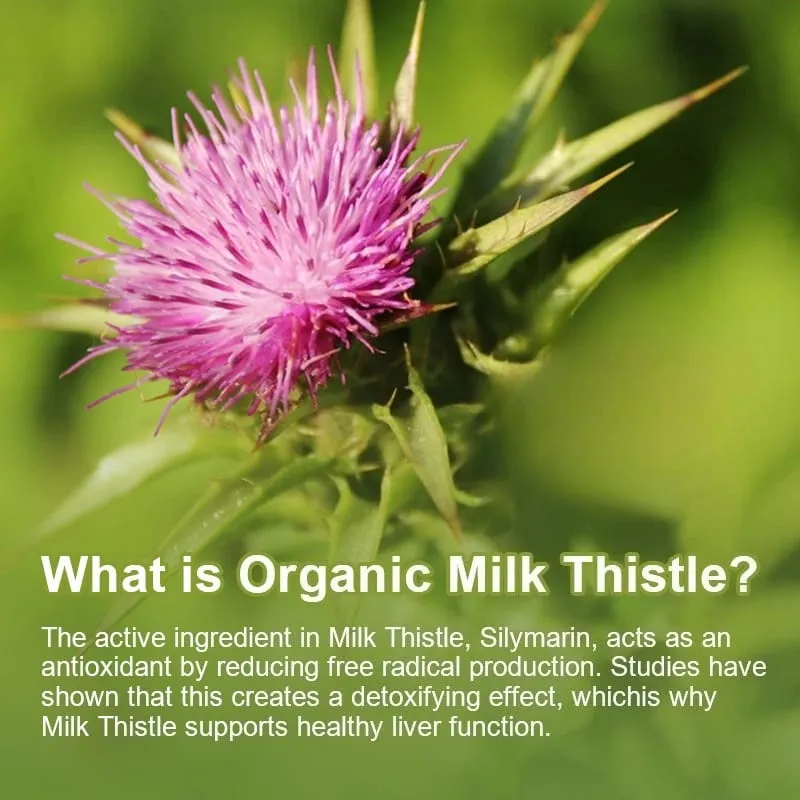 Milk Thistle Extract Capsules with Dandelion for A Detox Cleansing Liver Support and Repair Formula Help Digestion Non-GMO