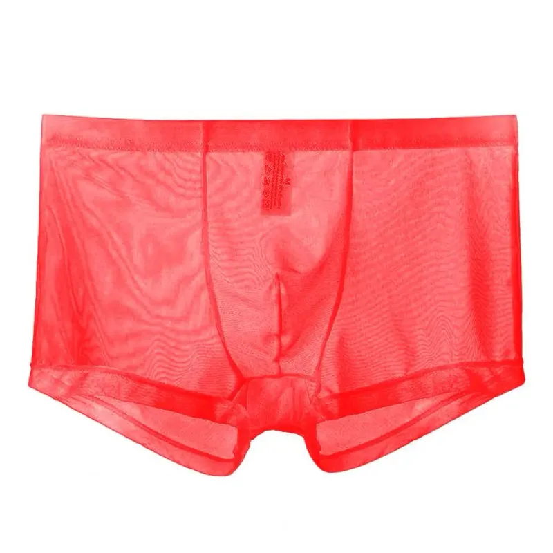 Transparent Boxers for Men See Through Male Underpants Sexy Mesh Low Waist Ice Silk Thin Cooling Men Panties Men Underwear — image 30