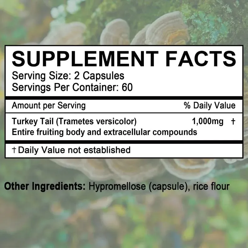 Turkey tail mushroom supplement capsules enhance immunity intestinal immune health metabolism