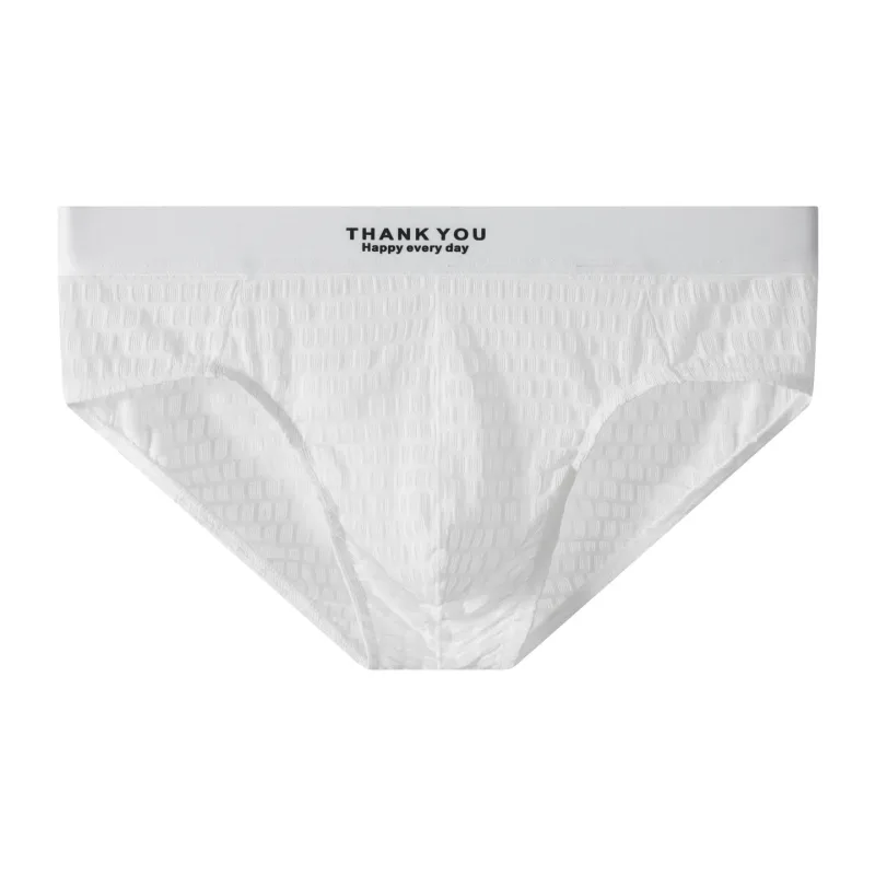 Transparent Mesh Underwear Male Ultra Thin Sheer Briefs Breathable Underpants Bulge Pouch Panties Soft Lingerie Low Rise Knicker — image 11