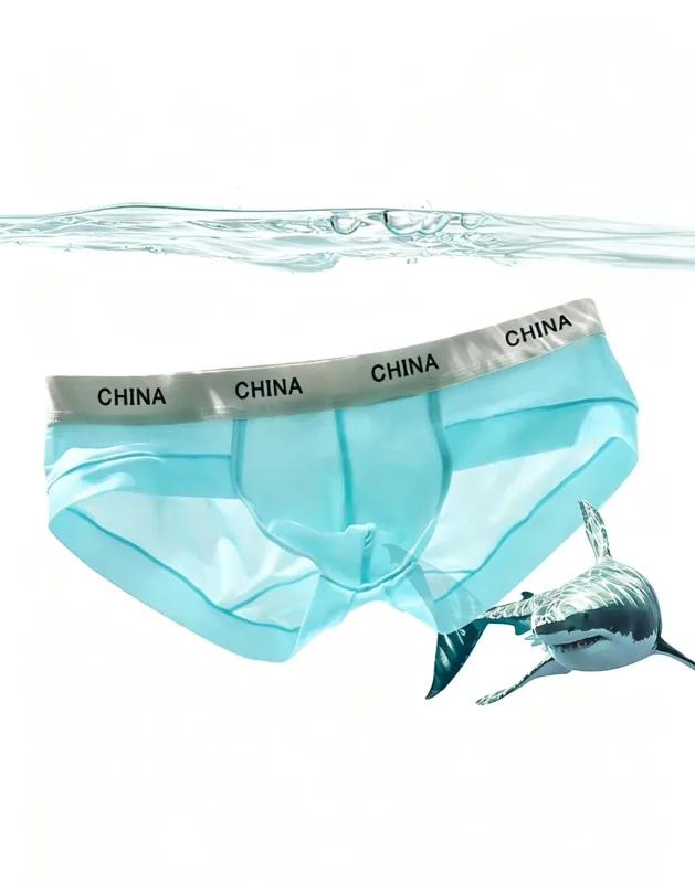 Herren-Slip aus Eisseide, ultradünn, atmungsaktiv, durchsichtig, Unterwäsche, weicher, breiter Bund, Sommer, kühles Komfort-Höschen, zufällige Farbe, 1 Stück — image 2