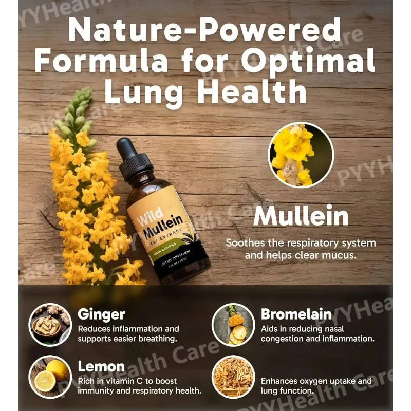 Σταγόνες Mullein με τζίντζερ και λεμόνι για καθαρισμό των πνευμόνων και αποτοξίνωση Εκχύλισμα φύλλων φλόμου για αποτοξίνωση για την υγεία του αναπνευστικού πνεύμονα για καπνιστές
