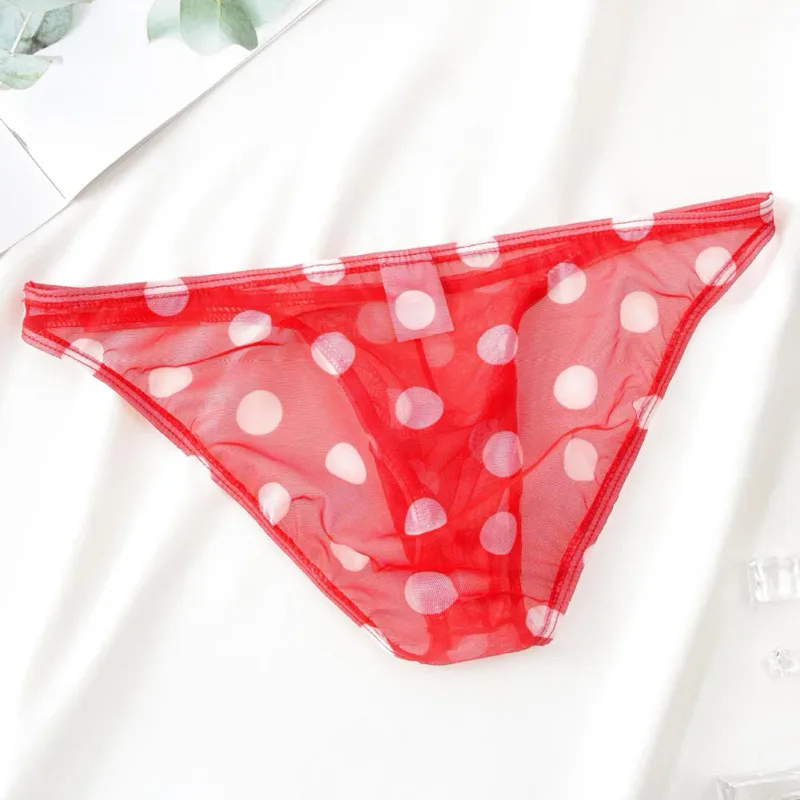 1pc Men Sexy Mesh Sheer Underwear Printed Brief Breathable Low Rise U Shape Pouch Panties Comfortable Lingerie — image 2