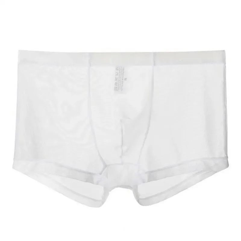 Transparent Boxers for Men See Through Male Underpants Sexy Mesh Low Waist Ice Silk Thin Cooling Men Panties Men Underwear