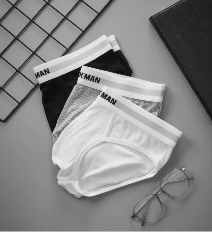 3Pack Summer Single Layer Mens Underwear Low Rise Briefs for Men Elastic Comfort Fit Underpanties Ropa Interior Hombre
