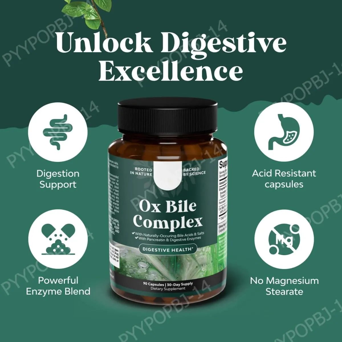 Digestive Enzyme Ox Bile Supplements with Pancreatin & Bromelain 90 Capsules 30 Servings for Women & Men