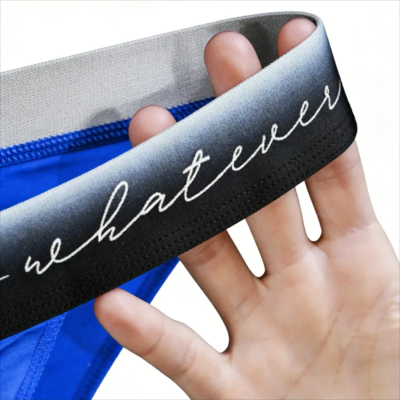 Men's Ice Silk Polyester Cheeky Briefs Ombre "Whatever" Slogan Waist Sporty Contour Fit Low-Rise Underpants Men Underwear Sexy