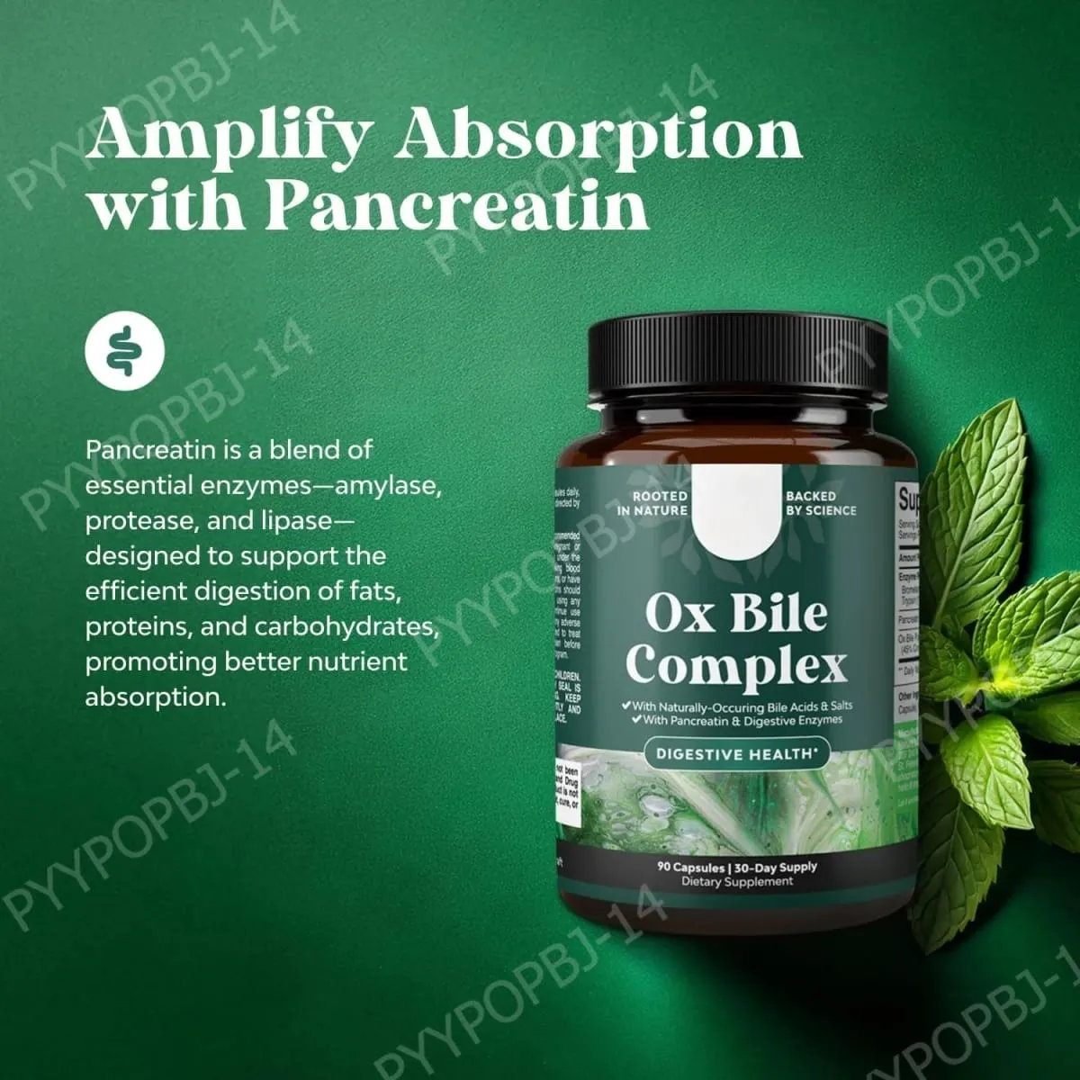 Digestive Enzyme Ox Bile Supplements with Pancreatin & Bromelain 90 Capsules 30 Servings for Women & Men