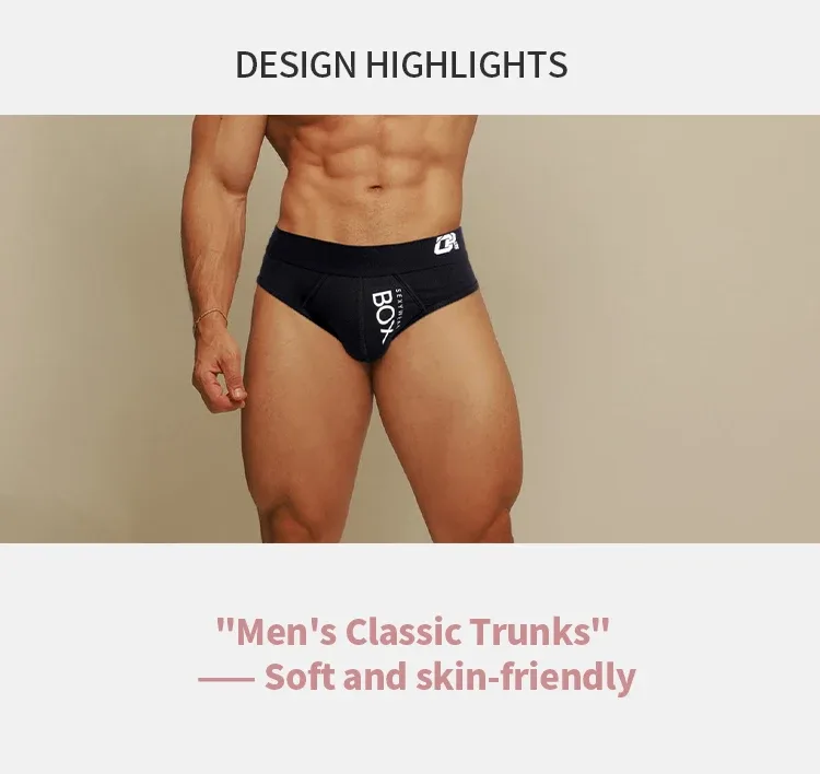 1/2Pcs High Quality Low Waist Sexy Mens Underwear Briefs Letter Print Men's Lingerie Cotton Men's Briefs Bikini Man Underpants