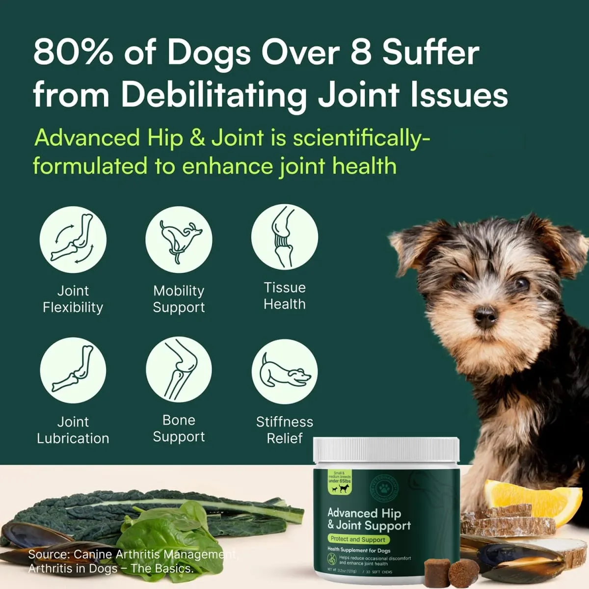 Advanced Dog Hip and Joint Supplement for Small & Medium Breeds Dog - Glucosamine Chondroitin Omega 3 MSM Green Lipped Mussel — image 3