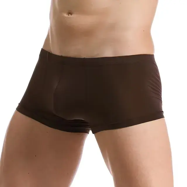 Mutandine da uomo Boxer in seta di ghiaccio Intimo sexy Boxer ultrasottili Vedi attraverso mutande maschili Boxer — image 2