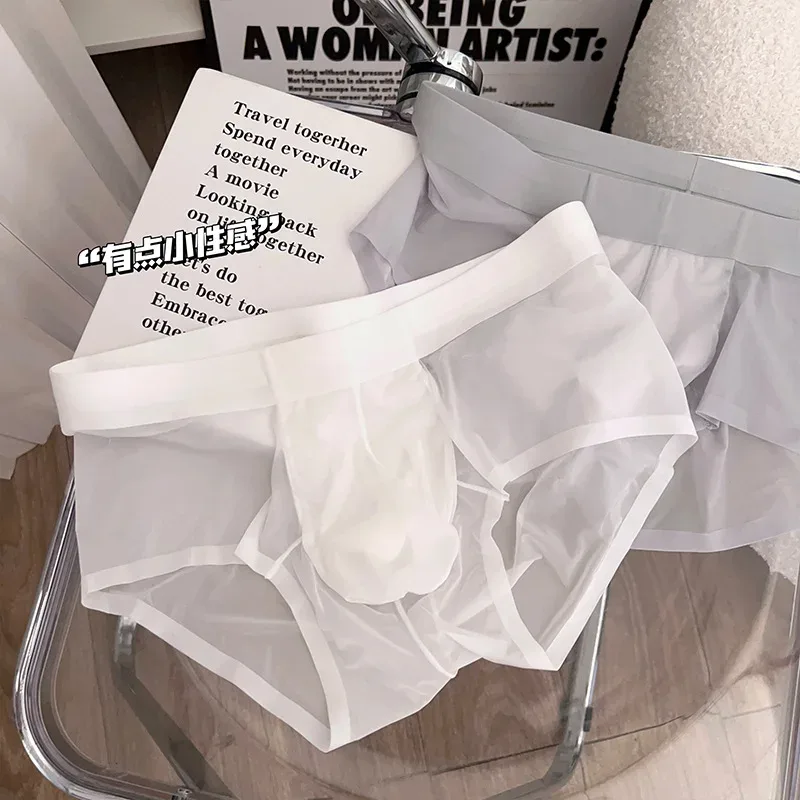 Transparent Men's Briefs Ultra-thin Ice Silk Quick Dry Panties Sexy U Bulge Pouch Man Underwear Breathable Underpants Cuecas