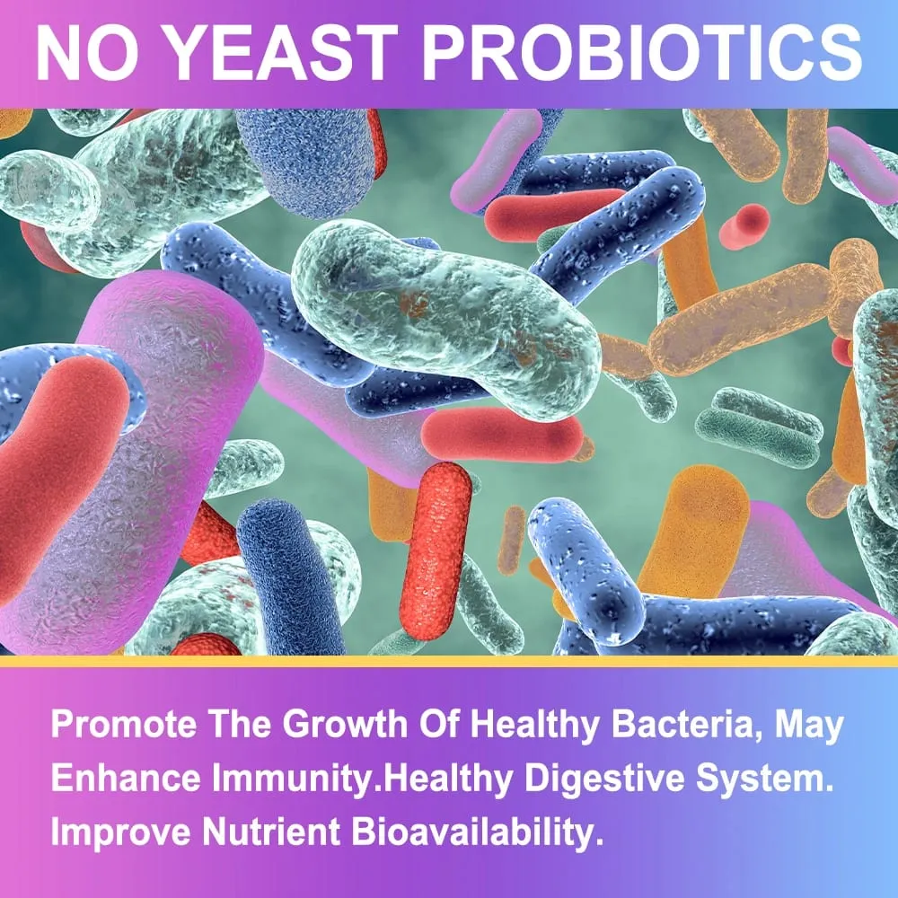 Premium Probiotics with Prebiotics and Digestive Enzymes To Aid Digestion and Boost The Immune System - 120 Capsules