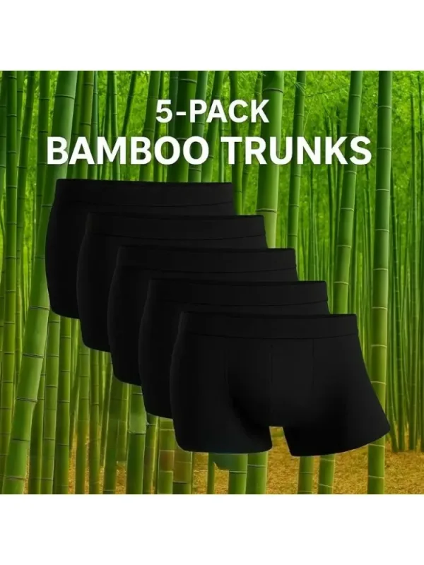 5 Packs Bamboo Fiber Man Plus Size S-2XL Underwear Men Flat Feet Gym Shorts Panties Black Underpants Gifts