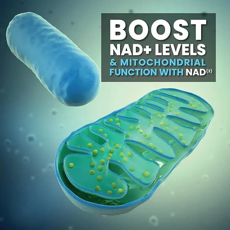 NAD Capsules Supplement Liposomal NAD+ supplement - Aging Defense Cellular Energy Heart & Brain Function