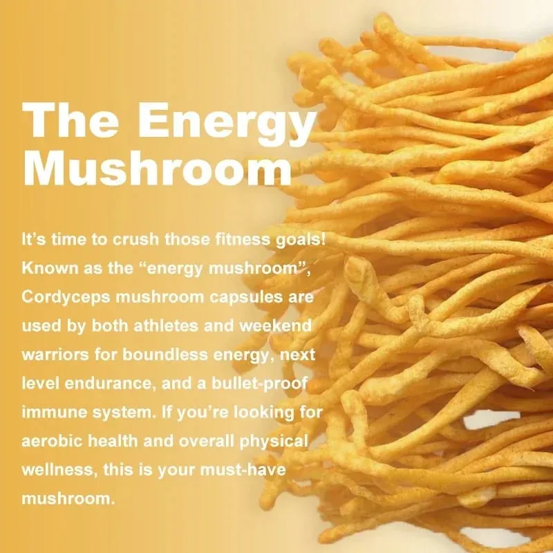 Cordyceps Mushroom Capsules - Boost Energy and Endurance Enhance Memory and Concentration and Relieve StressSupplementsSupplem