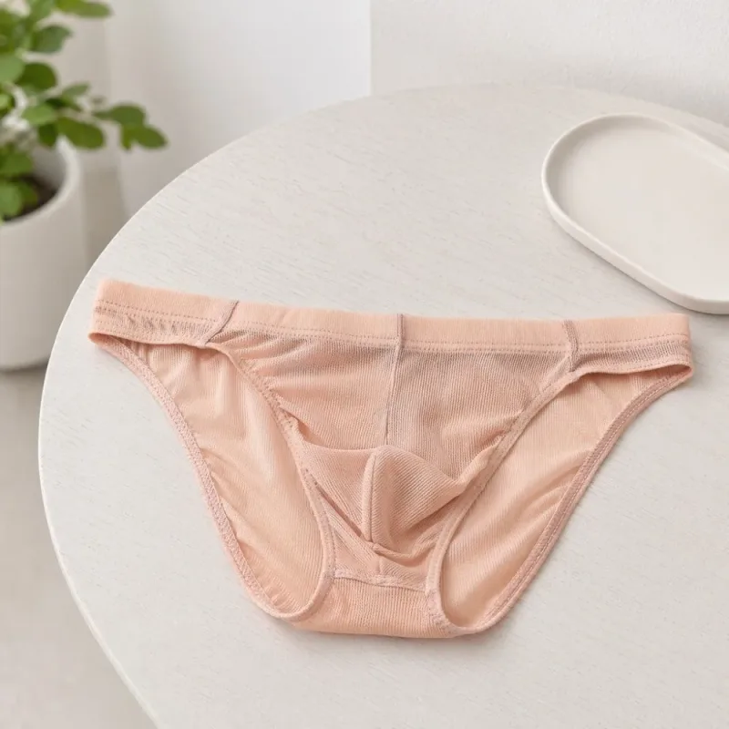 Lingerie Men Mesh Triangle Panties Low Waist Breathable Men Thin Briefs Transparent Thin Soft Underwear for Men Daily Wear