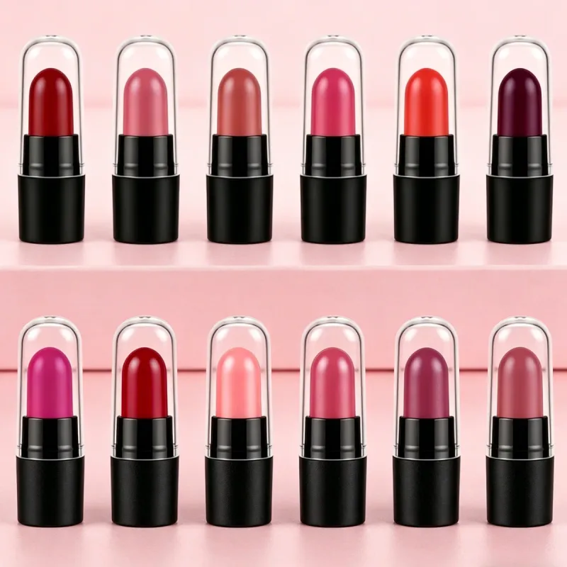DNM Mini Capsule Lipstick 12 Color Set Ματ αδιάβροχο ανθεκτικό και δεν κολλάει εύκολα σε φλιτζάνια Κραγιόν απόδοσης χρωμάτων