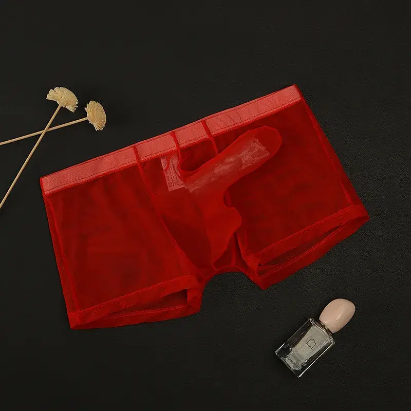 Erotic Men's Boxy Underwear Gays Sexy Low Waist Elephant Nose Boxer Shorts Thin Mesh Transparent Breathable Lightweight Panties — image 2