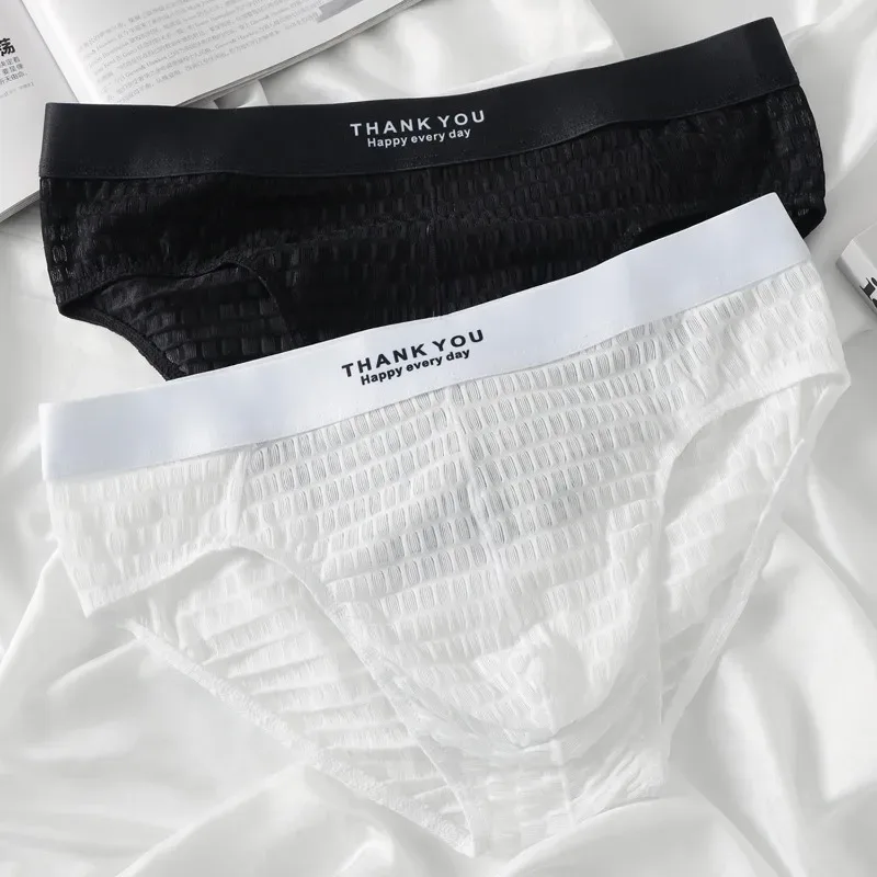 Transparent Mesh Underwear Male Ultra Thin Sheer Briefs Breathable Underpants Bulge Pouch Panties Soft Lingerie Low Rise Knicker — image 2