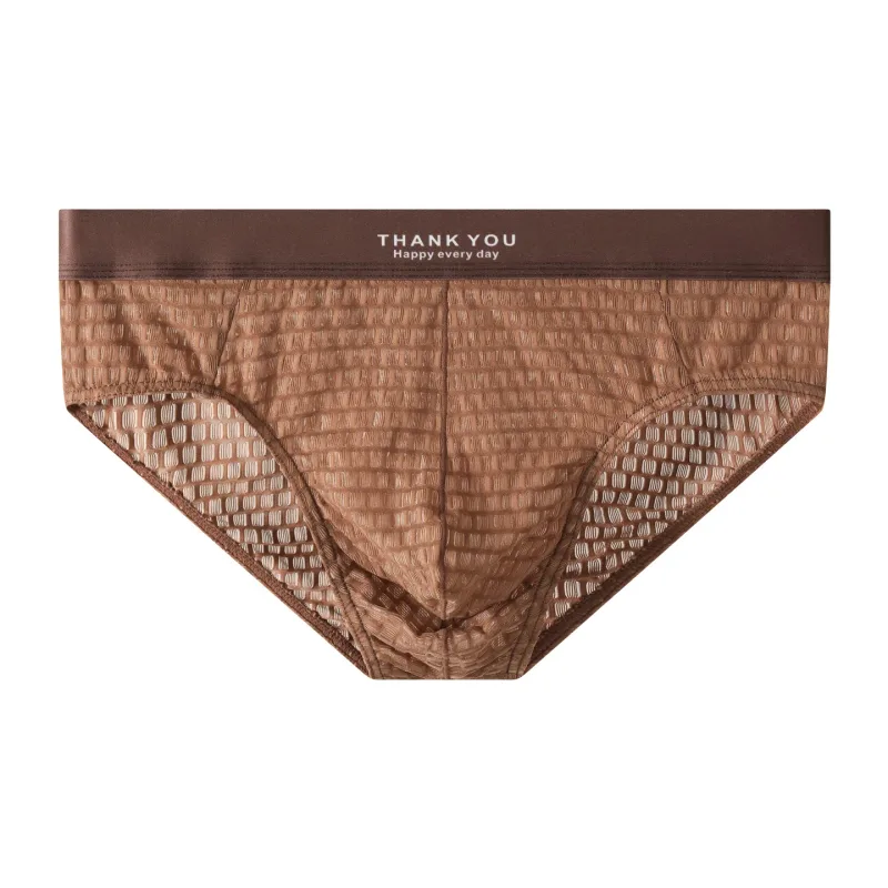 Transparent Mesh Underwear Male Ultra Thin Sheer Briefs Breathable Underpants Bulge Pouch Panties Soft Lingerie Low Rise Knicker