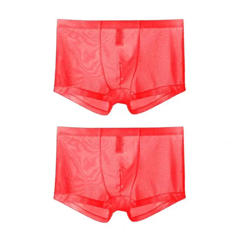 Transparent Boxers for Men See Through Male Underpants Sexy Mesh Low Waist Ice Silk Thin Cooling Men Panties Men Underwear — image 24