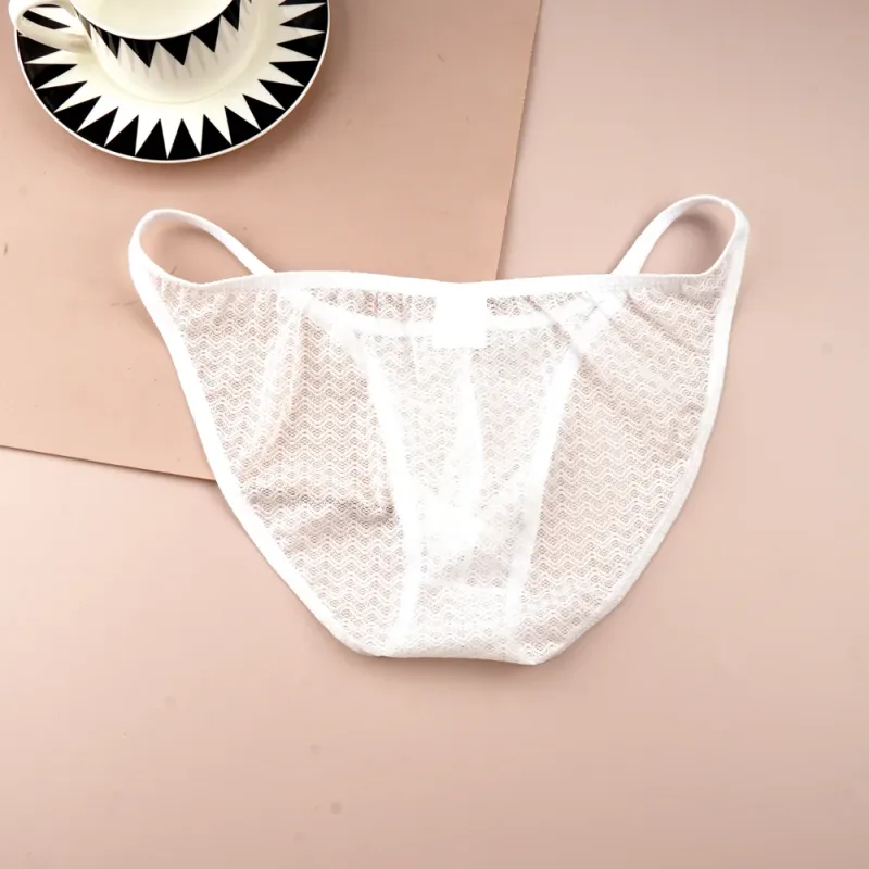 Mesh Nylon Pink Underwear for Men Solid Color Breathable Summer Cool Male Bulge Pouch Briefs Ultra Thin Sexy Plus Size Panties