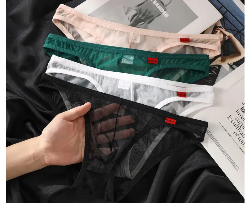 Men's Underwear Ultra-Thin Mesh Transparent Triangular Briefs Sexy Underpanties