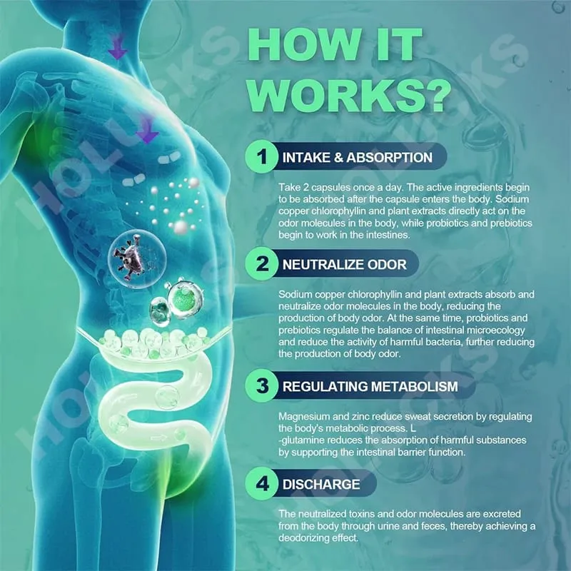Chlorophyll Capsules Supplement Body Deodorizing Deos & Cleanse Digestion Support for Gut & Skin Health