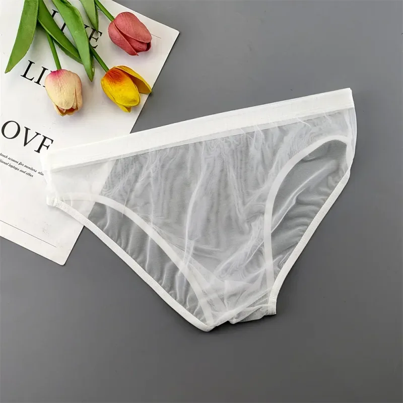 Plus Size Transparent Underwear See Through Sexy Briefs para sa Mga Lalaki na may Pouch Nylon Hombre Slips Breathable Male Panties XL-4XL — image 27