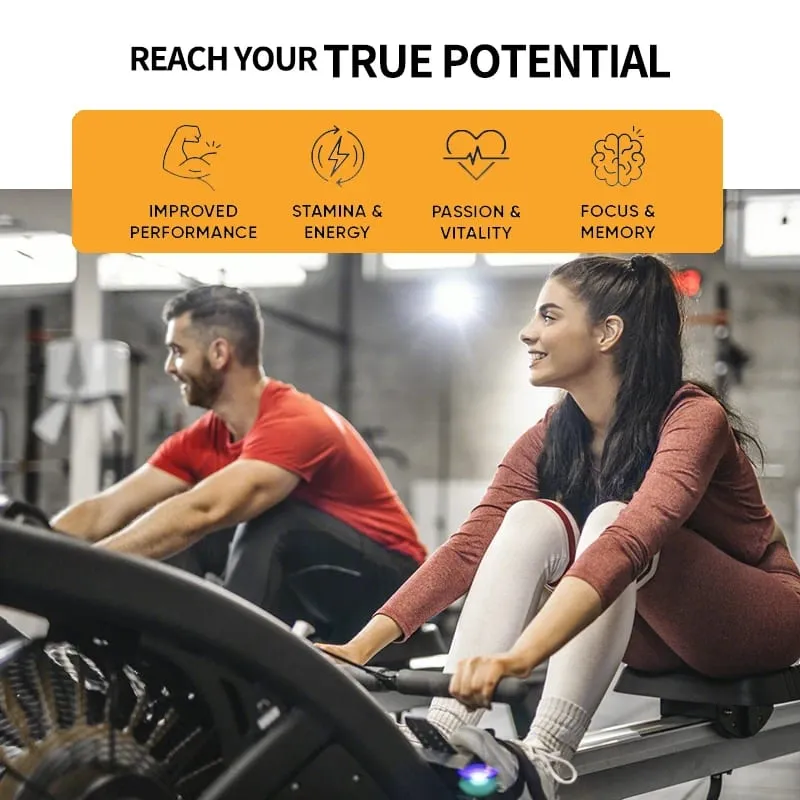 Κάψουλες Ginseng + Ginkgo Biloba Extract - Βοηθά στη βελτίωση της ενέργειας και της ζωτικότητας Αντιγηραντική μνήμη Υγεία εγκεφάλου και όρασης
