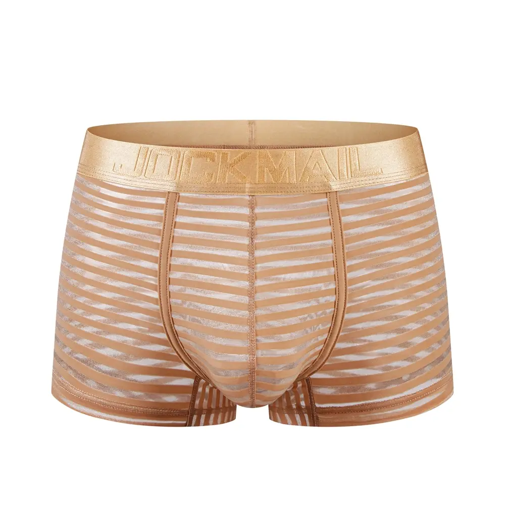 Sexy Men Underwear Boxer Shorts Transparent Mesh Underpants Trunks Men Panties Low Waist Nylon Breathable Quick Drying
