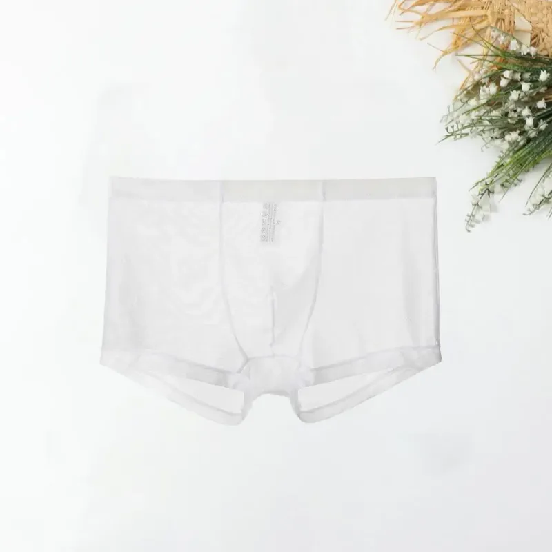 Transparent Boxers for Men See Through Male Underpants Sexy Mesh Low Waist Ice Silk Thin Cooling Men Panties Men Underwear — image 16
