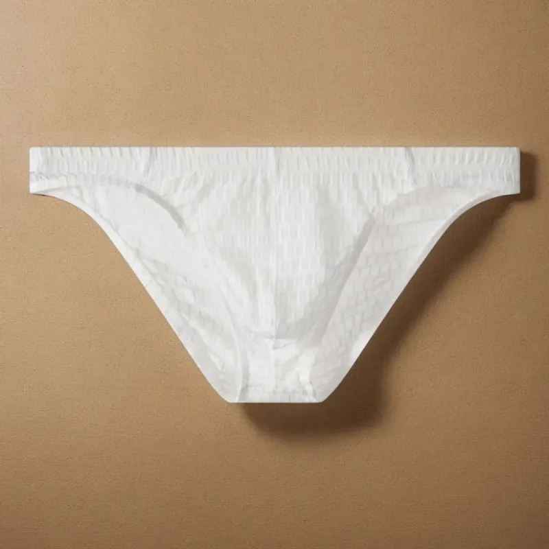 Breathable Low Waist Men's Briefs Transparent Ultra-thin Ice Silk Underwear Lingerie Mesh Panties Male Comfort Fit — image 4