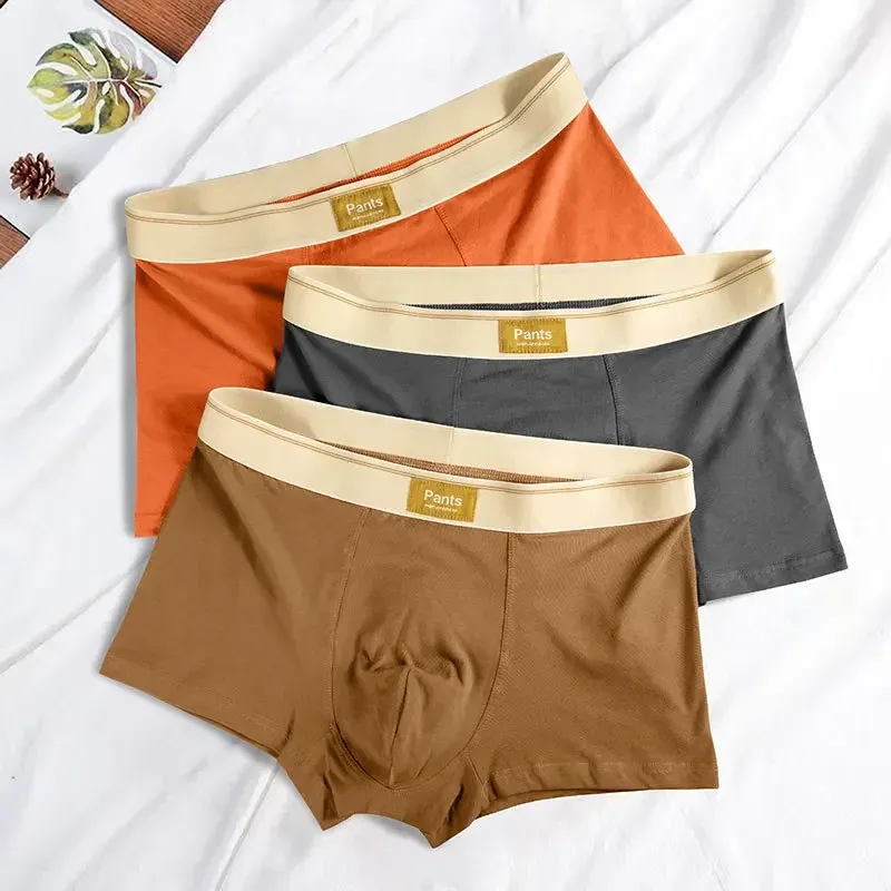 Intimo da uomo Boxer in cotone Pantaloncini Hombre Mutandine Uomo Mutande traspiranti Sport sexy Comfort Boxer maschili Taglia grande L-7XL — image 4