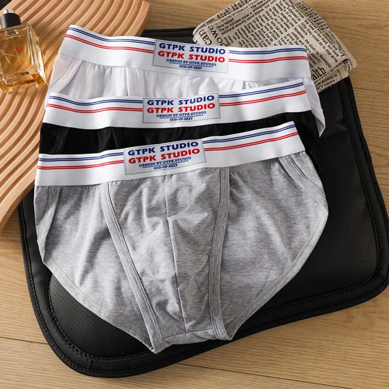 Men's Underwear Men Sexy Briefs Jockstrap Pouch Cuecas Man Cotton Panties Thongs Mesh Underpants Gay Slip Homme Srting — image 2