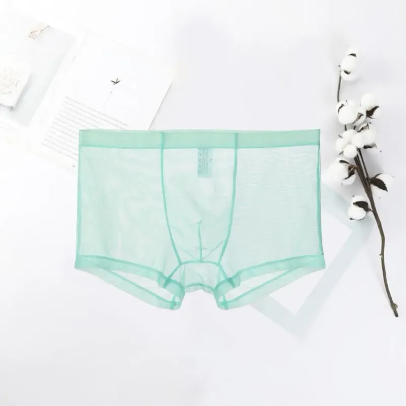 Transparent Boxers for Men See Through Male Underpants Sexy Mesh Low Waist Ice Silk Thin Cooling Men Panties Men Underwear — image 13
