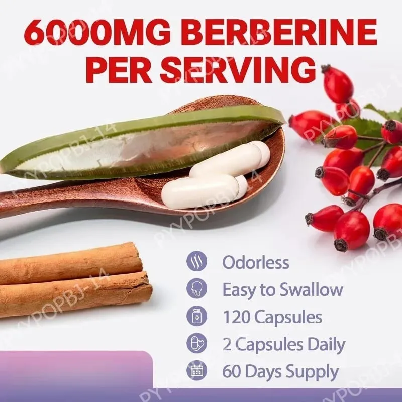 27 in 1 Berberine Supplement with Ceylon Cinnamon Milk Thistle for Liver Gut Health Immunity Men & Women 120 Vegan Capsules