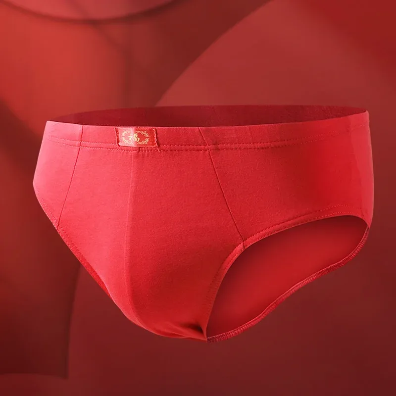 Men's Trendy Red Briefs for Their Zodiac Year, Wedding Gift, Good Luck and Celebration Briefs