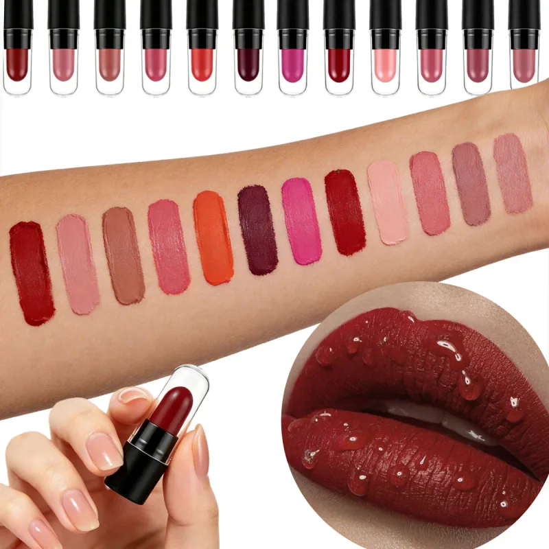 DNM Mini Capsule Lipstick 12 Color Set Ματ αδιάβροχο ανθεκτικό και δεν κολλάει εύκολα σε φλιτζάνια Κραγιόν απόδοσης χρωμάτων