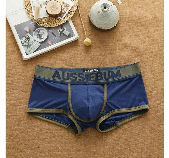 Men's mesh panties low waist fashion breathable mesh nest letter youth boxers