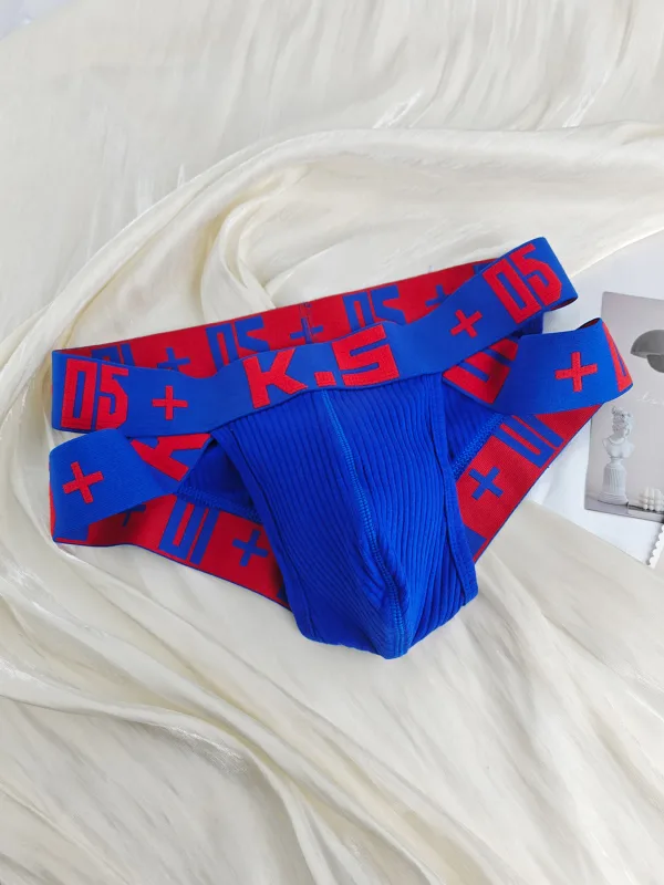 Erkekler için seksi U Dışbükey Pamuk Külot Rahat İç Giyim Bikini Tarzı Eşcinsel erkek Iç Çamaşırı Komik Ve Şık Külot — image 31