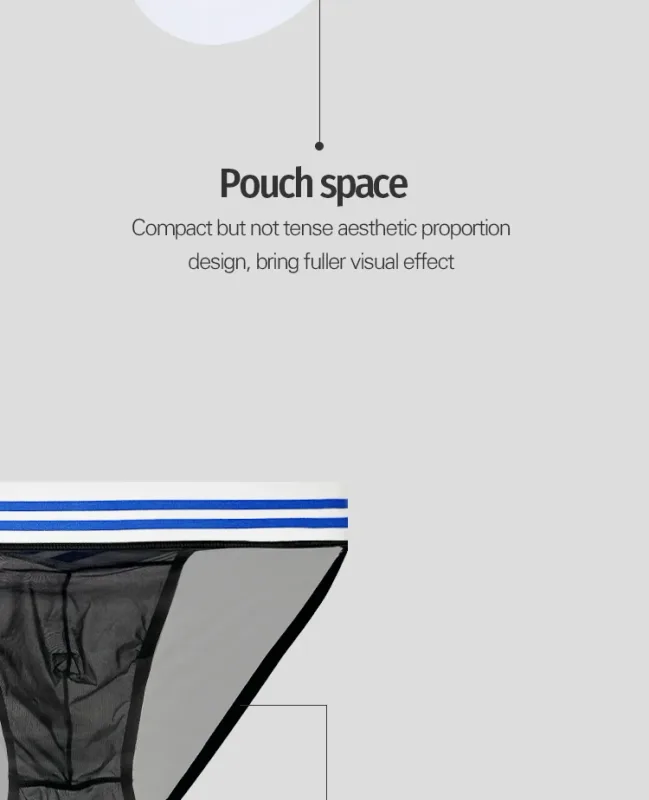 Men's Ice Silk Ultra-Thin Barely-There Mesh Sheer Briefs, Striped V-Shape Elastic Waistband Summer Daily Commute Underwear