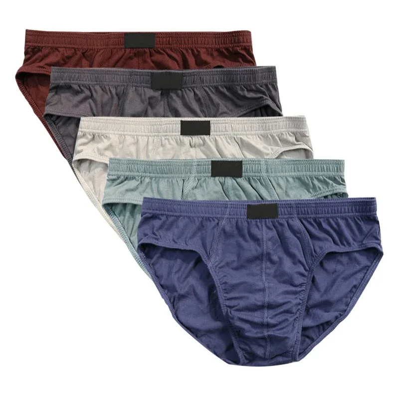 4 Pcs/Lot Cheapest 100% Cotton Mens Briefs Plus Size Men Underwear Panties XL-5XL Men's Breathable Sexy Lingerie Underpants