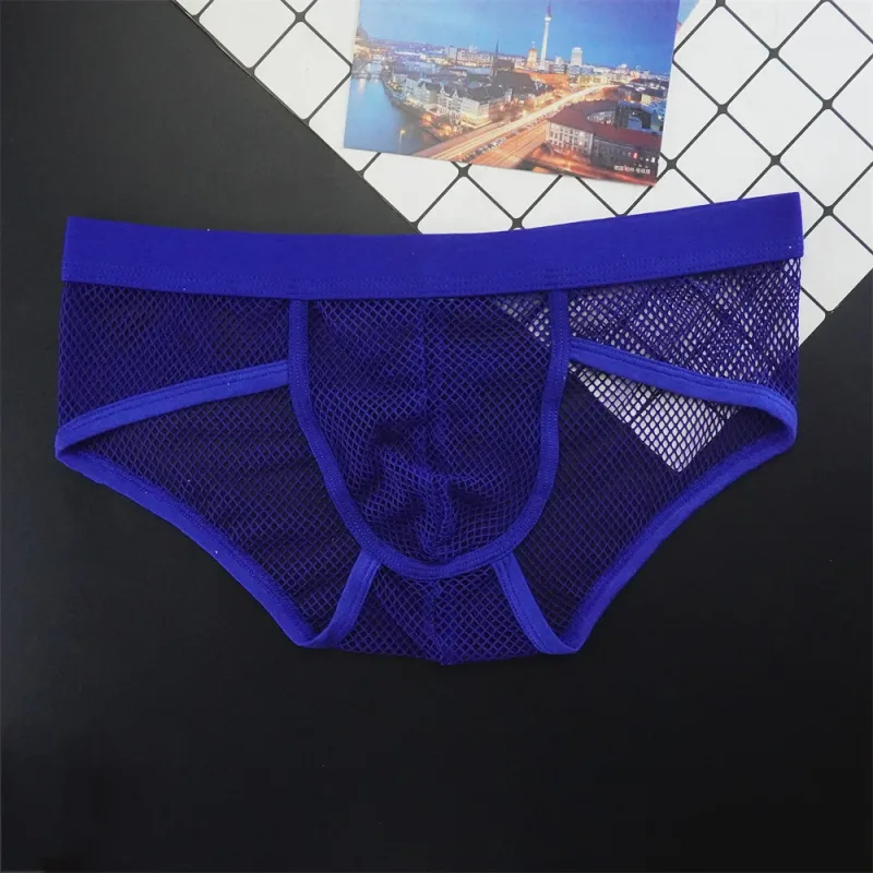 Plus Size Mesh Underwear Men Transparent Large Fishnet U Pouch Briefs Male Low Waist Solid Color Sexy Perspective Male Panties — image 12