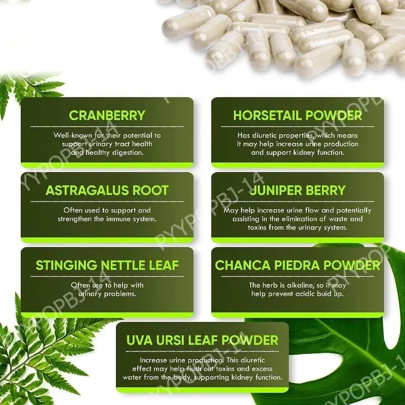 Kidney Support Supplement for Kidney Restore with Chanca Piedra Cranberry Juniper Berries for Detox and Bladder Health 60 Count — image 5